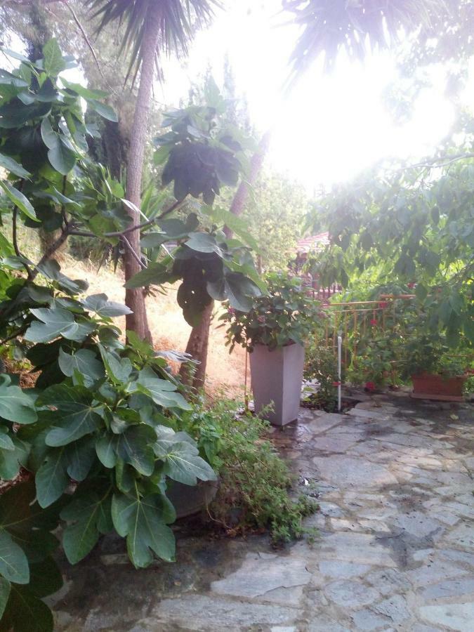 ניקוסיה Kampi Double Storey House In The Village מראה חיצוני תמונה